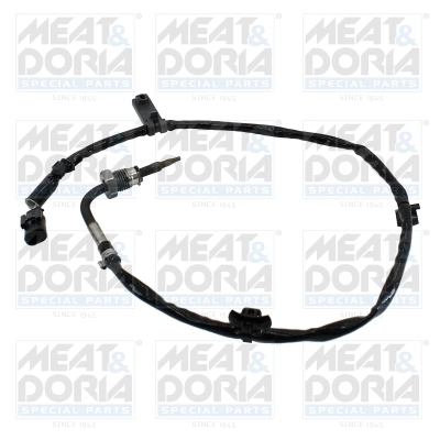 Sensor, exhaust gas temperature